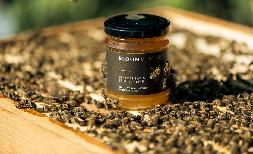 The Living Circle Honey